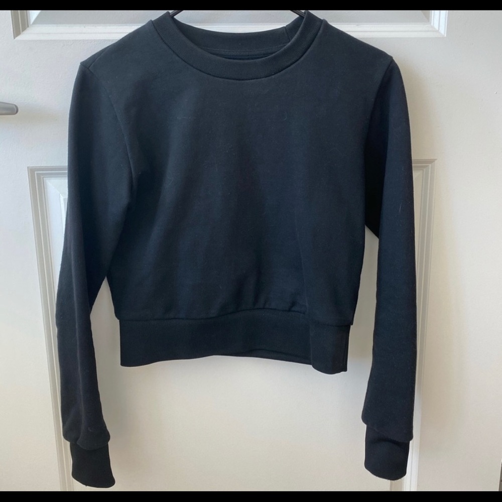 Aritzia Talula Shrunken Crew